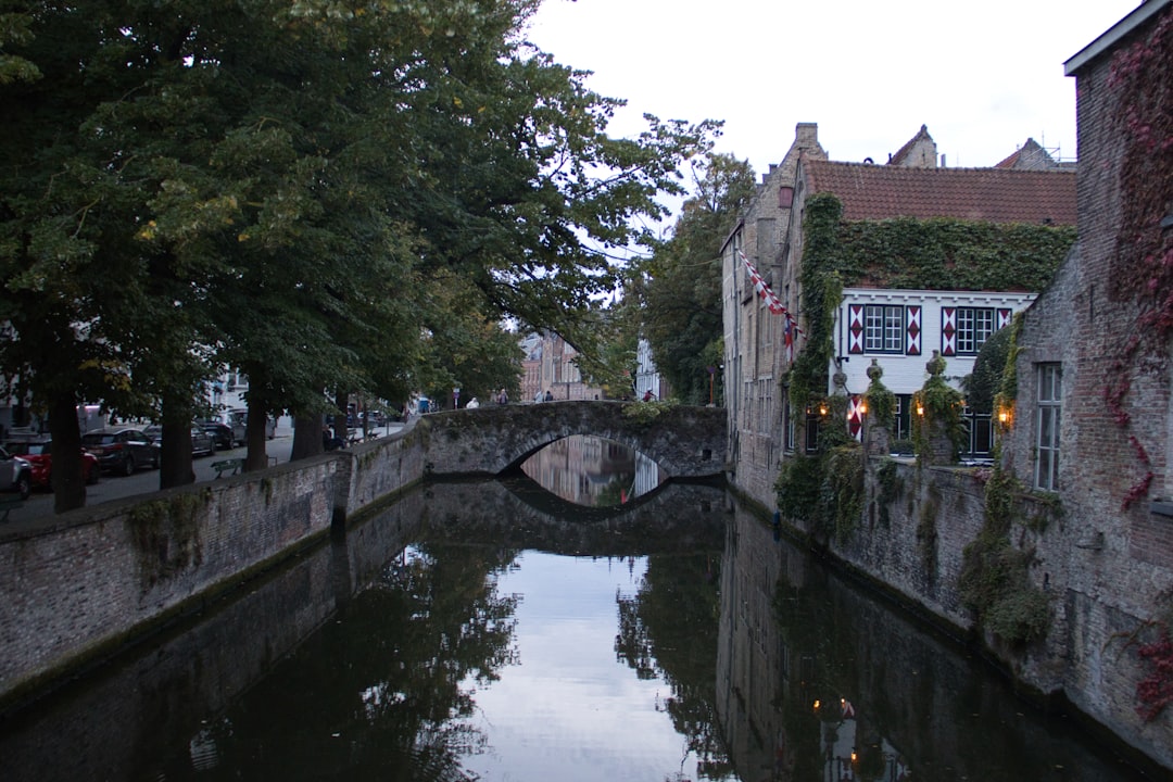 Canaux de Bruges avec ses ponts en pierre et maisons à pignons flamands