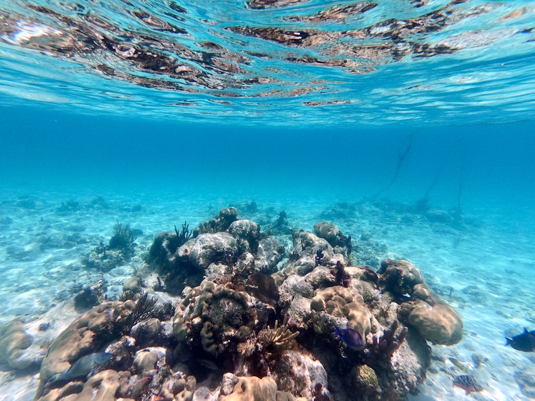 Eaux turquoise et cristallines idéales pour le snorkeling en voyage